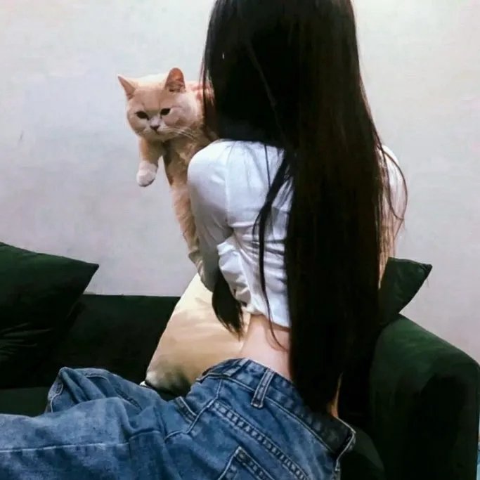 白色猎人黑色心
