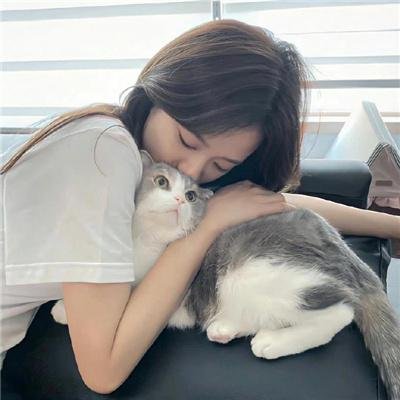 铁拳无敌